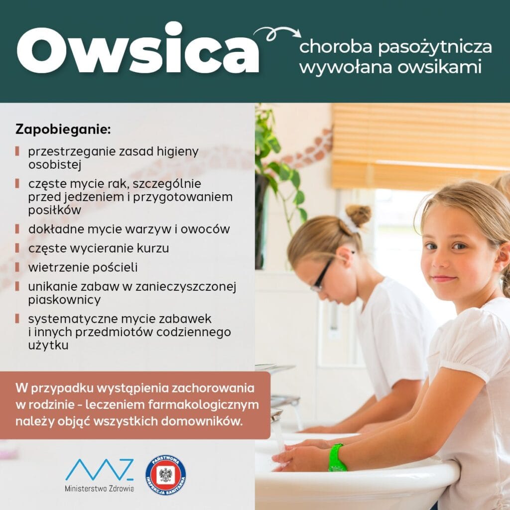 owsica 1
