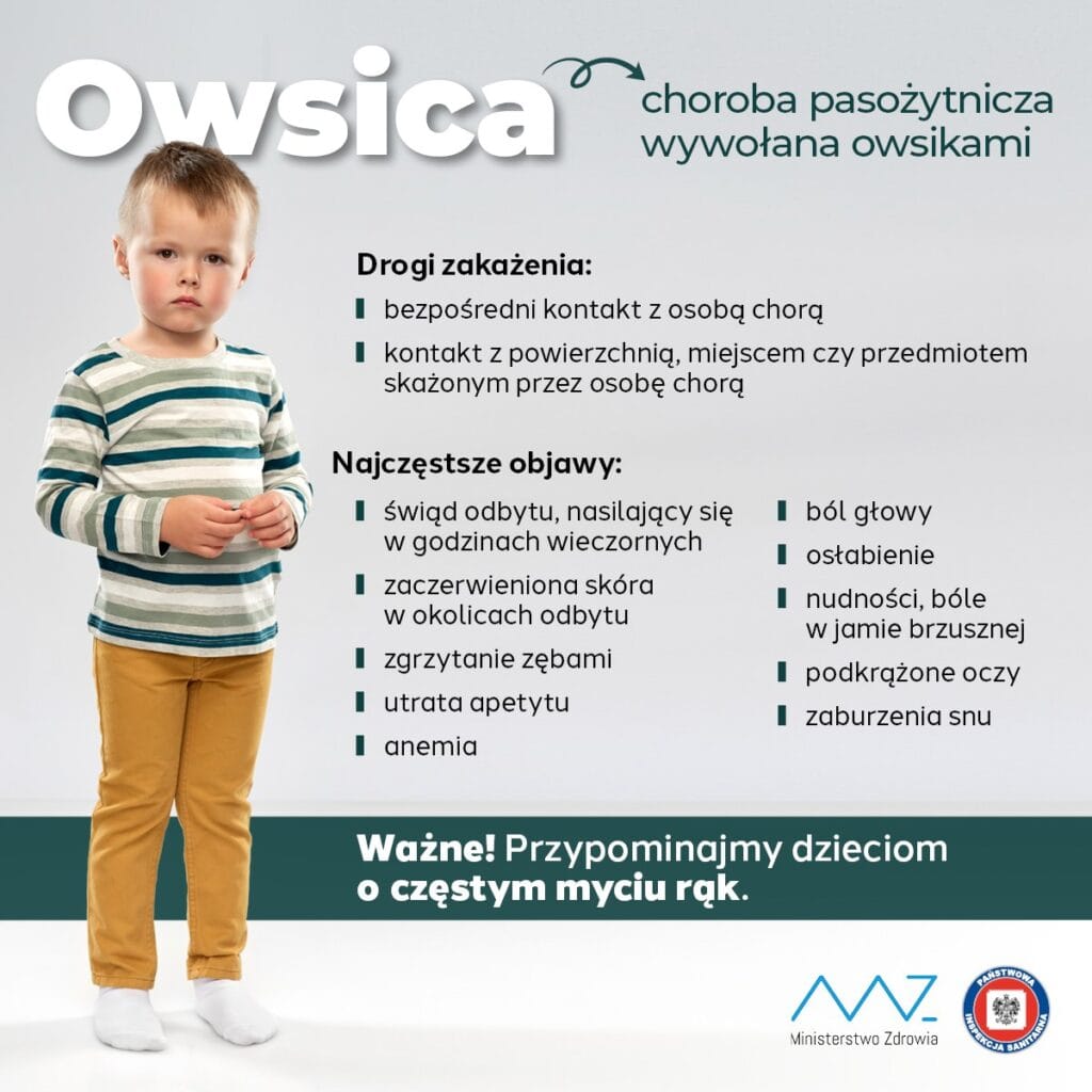 owsica 2